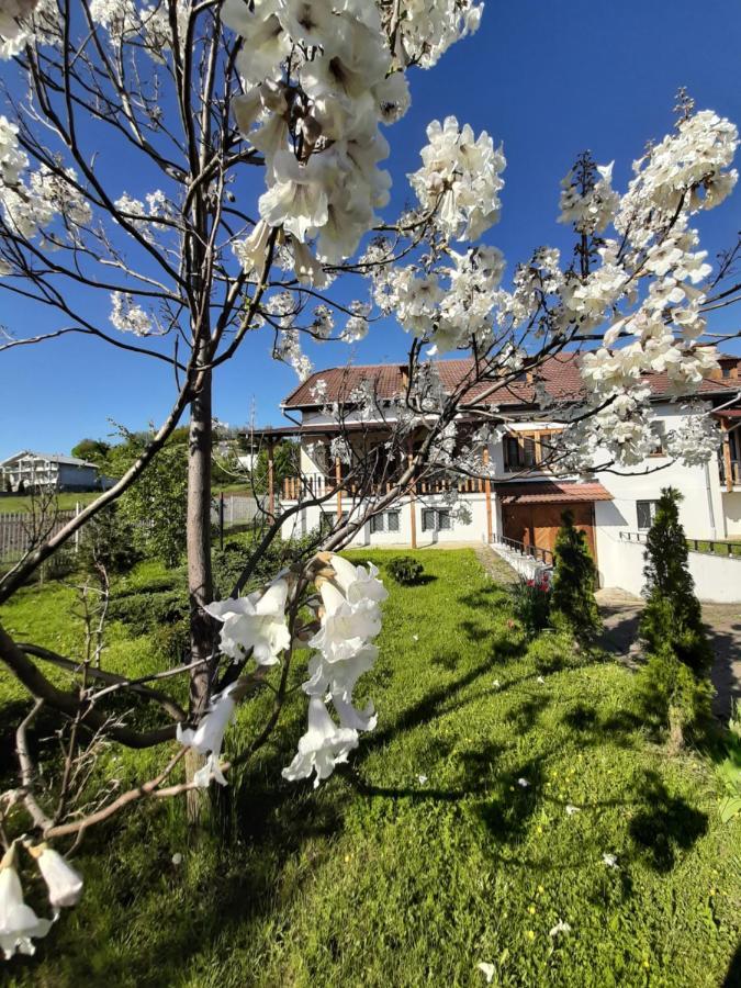 Vila Tara Hategului Exterior foto