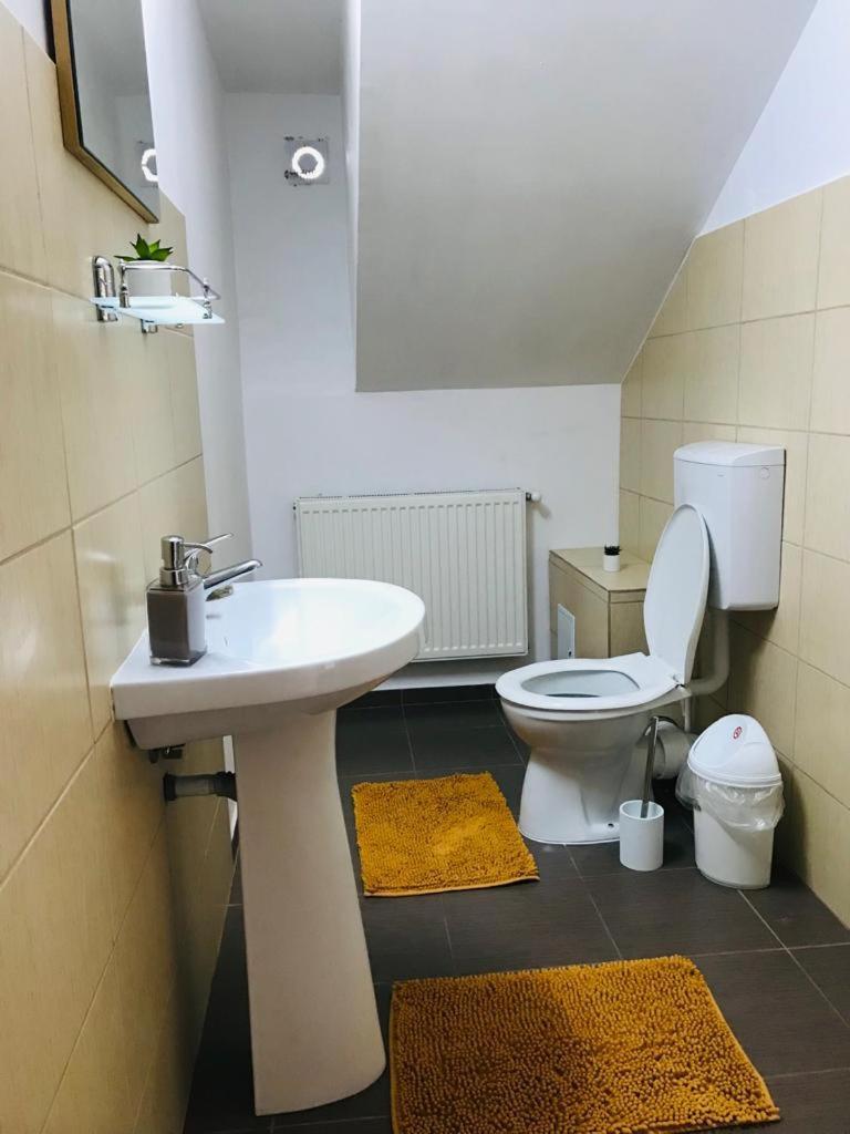Vila Tara Hategului Zimmer foto
